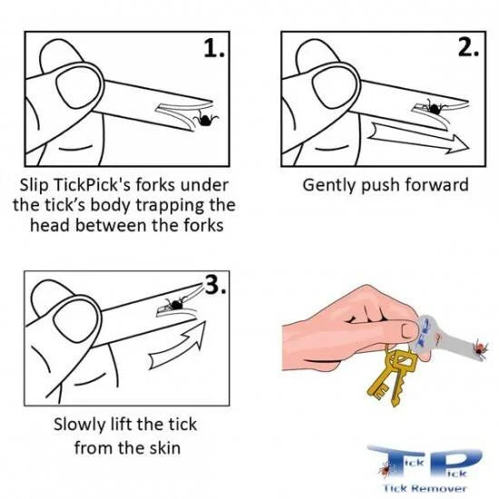 Tick Pick Portable Tick Remover